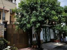 Hình ảnh nhà vị trí vàng MT Lê Thánh Tôn 4.5x26m Trệt + 4 Lầu HĐT: 172tr/tháng