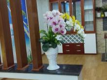 Hình ảnh Nhà Nguyễn Văn Đậu, Bình Thạnh 4x13m, 3 tầng hẻm xe hơi, giá 8.5 tỷ