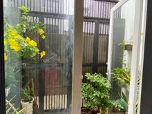 Hình ảnh Bán nhà HXH đường Bạch Đằng vừa ở vừa kinh doanh thuận lợi, chỉ 5.5 tỷ