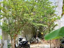 Hình ảnh chủ ngộp cần bán gấp lô đất 4*9 390triệu Long Hậu, Long An.