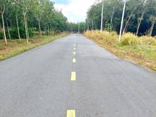 Hình ảnh Bán đất MT DH611, Lai Hưng, Bàu Bàng, DT:59x170/196, SHR, giá 16,5 tỷ