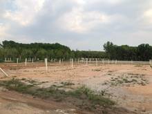 Hình ảnh vợ chồng tôi về quê nên cần bán lô đất chính chủ 400m