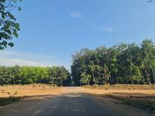 Hình ảnh BÁN NHANH,đất đẹp đường nhựa 8m,SHR.