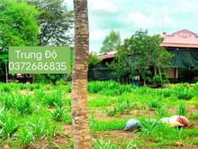 Hình ảnh Chủ cần bán gấp đất Bình Phước 579 triệu, gần Khu du lịch, SHR