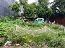 Hình ảnh Cần tiền làm nhà bán gấp 50m2 đất ngõ 321 Phúc Lợi, đường ô tô 7 chỗ