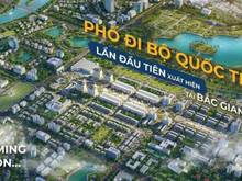 Hình ảnh Shop House phố đi bộ Bigc Bắc Giang