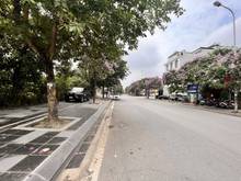 Hình ảnh Hiếm Đất vàng KĐG Việt Hưng, lô góc 2 mặt phố, 300m, MT 20m, giá 65 tỷ