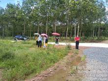 Hình ảnh Bán gấp đất thổ cư giá rẻ,Xã Lộc Khánh ,Lộc Ninh,Tỉnh Bình Phước
