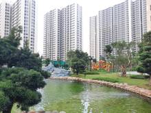 Hình ảnh Giỏ hàng 1PN + Origami giá gốc không bị che view, view vườn Nhật
