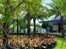Hình ảnh Cần bán Biệt thự VIEW SÔNG TRỰC DIỆN THE SUITE- VIEW SIÊU ĐỈNH - 200m2