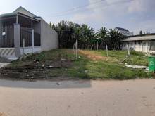 Hình ảnh Chính chủ về quê dưỡng già, muốn nhượng gấp lại 300m2_sổ hồng riêng