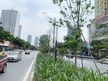 Hình ảnh Mặt Phố Nguyễn Chí Thanh, DT 60m2, Mặt Tiền 10m, Vỉa Hè 5m KD Đắc Địa