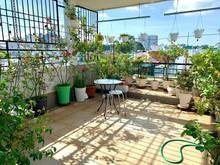 Hình ảnh HXH Lê Hồng Phong, P.1, Q.10, dt: 4.2 x 13, sáu tầng, giá 11.6 tỉ.