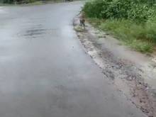 Hình ảnh Cần vốn xoay sở nên bán lô đất thổ cư tâm huyết