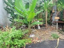 Hình ảnh Bán đất cách Lê Văn Chí 100m,Linh Trung,Thủ Đức,90m2, chỉ 5ty4, xe hơi
