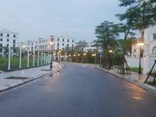 Hình ảnh Biệt thự song lập Hải Âu 6 Vinhomes Oceanpark 145m Giá 31.5 tỷ