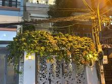 Hình ảnh Vỡ nợ bán gấp nhà 1 trệt 2 lầu Hậu Giang, quận 6 giá 1,450 tỷ 42m2 SHR