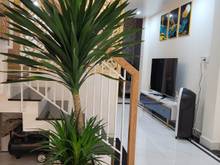 Hình ảnh HXH, Hoàng Hoa Thám, Phường 7, Bình Thạnh. 42M Chỉ 6.3 tỷ