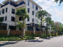 Hình ảnh CHDV cao cấp(257m2) HĐT:160Triệu cạnh đg Quốc Hương P.Thảo-Giá: 53 Tỷ