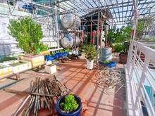 Hình ảnh bán nhà đường lê văn sỹ, quận 3, mặt tiền 8 phòng ngủ, 1 đời chủ.