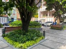 Hình ảnh Cần bán nhà MT đường Lê Văn Sỹ, 8x35m, chỉ 67 tỷ (thương lượng).