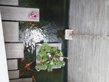 Hình ảnh Bán Nhà MT Nguyễn Hữu Thọ, Gần Lê Đại Hành, Quận Cẩm Lệ. Diện Tíc170m2