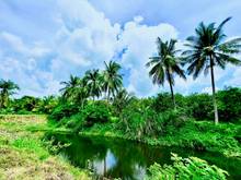 Hình ảnh Đất vườn xã Gia Canh, sát bên thị trấn Định Quán