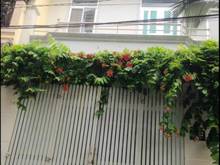 Hình ảnh Chính chủ kẹt vốn bán gấp! Nhà Cô Giang,Q1, 48m2 1Tỷ459 SHR