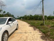 Hình ảnh Cần bán lô đất sau lưng chợ thanh lương TX Bình Long