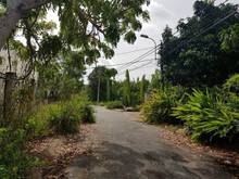 Hình ảnh đi nước ngoài định cư cần bán gấp 4000m đất Nhà Bè chỉ 4tr/m