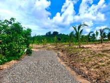 Hình ảnh Chính chủ bán gấp mảnh đất vườn view đà lạt