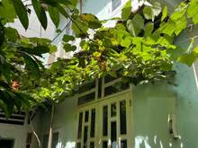 Hình ảnh 1/ Phùng Chí Kiên - 1 trệt 1 lầu nhà mới ở liền
