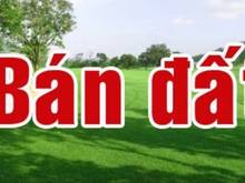 Hình ảnh Bán Đất đường số 47 Tân Quy,Quận 7 dt 4x20m,hướng nam giá 11,7 tỷ