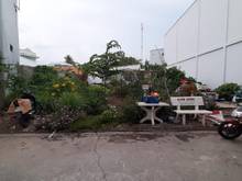 Hình ảnh Bán nền hẻm nhánh đoàn thị điểm phường cái khế quận ninh kiều tpct