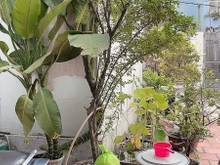 Hình ảnh BÁN ĐẤT MẶT TIỀN Nguyễn Thường Hiện – Bình Thạnh, CỰC HIẾM, CHÍNH CHỦ