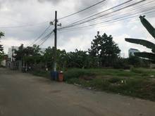 Hình ảnh Cho thuê đất đường Lò Lu, Quận 9
