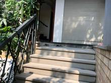 Hình ảnh Biệt Thự Vườn Đào - Tây Hồ, Mặt Đường Võ Chí Công, DT 200m2x 5 Tầng