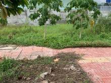 Hình ảnh Chủ Kẹt Tiền Bán Gấp Nền 80m2 Full TC lộ Giới 6m