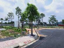 Hình ảnh Bán gấp lô 200m2 MT Quốc Lộ 50,KDC Gia Hoà,Phong Phú,BC giá 2tỷ6