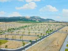 Hình ảnh Đừng mua nhơn hội new city nếu bạn chưa đọc qua bài viết này