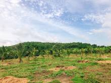 Hình ảnh Chính chủ bán gấp mảnh vườn view đẹp