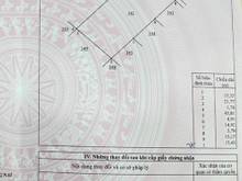 Hình ảnh Bán vườn bưởi chôm chôm 1082m2 (24X42) mặt tiền đường bê tông