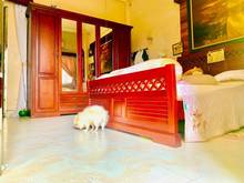 Hình ảnh Mua bán nhà mặt tiền Tên Lửa, quận Bình Tân