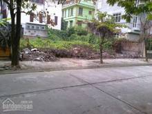 Hình ảnh Bán đất đấu giá TT6 xã Tứ Hiệp,Thanh Trì gần khu Biệt Thự Vườn Hoa