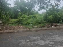 Hình ảnh - Bán 260m2 đất hẻm 1243 lê v lương , phước kiểng, nhà bè.