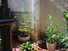 Hình ảnh Bán nhà gấp Xuân Diệu Tây Hồ 110m2 x 6 T - MT: 5m Hướng N Bán 10,2tỷ