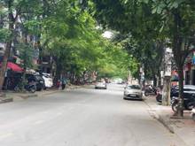 Hình ảnh Bán nhà 4tầng HOÀNG NGỌC PHÁCH lô góc vỉa hè 2 bên, Mt 7m giá 13.8 tỷ