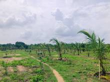 Hình ảnh Bán mảnh vườn view đồi và có view ao hồ, đất bằng phẳng