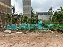 Hình ảnh Chủ nhà gửi bán nhanh lô đất áp góc 40m2 View cánh đồng trong TĐC