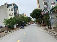 Hình ảnh Cần tiền mở rộng cơ sở sản xuất, bán gấp biệt thự 3 tầng 221m 31 ha TQ